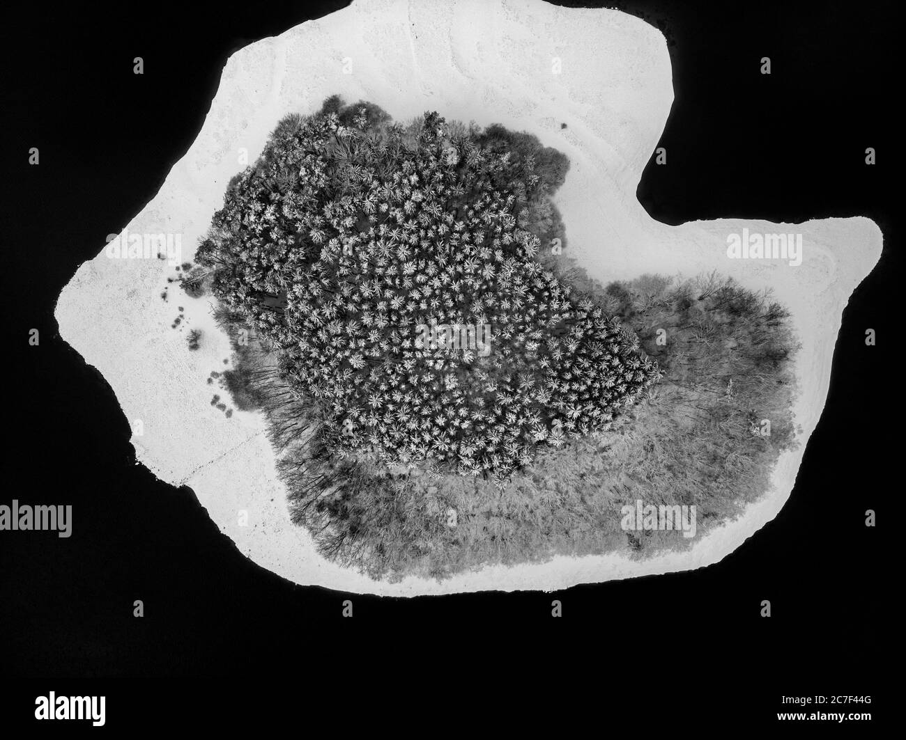 Foto aerea di un'isola con un campo di alberi in bianco e nero perfettamente simmetrico Foto Stock