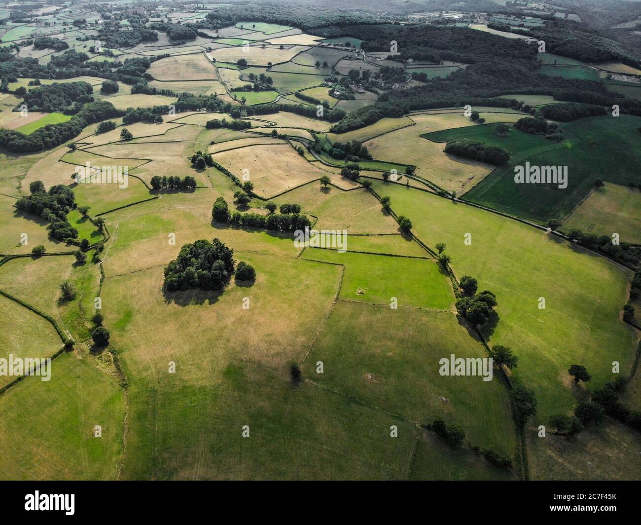 Foto aerea di campi erbosi con alberi di giorno Foto Stock