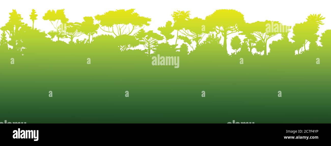 Silhouette della foresta pluviale. Giungla. Paesaggio verde della foresta. Illustrazione vettoriale di sfondo. Illustrazione Vettoriale