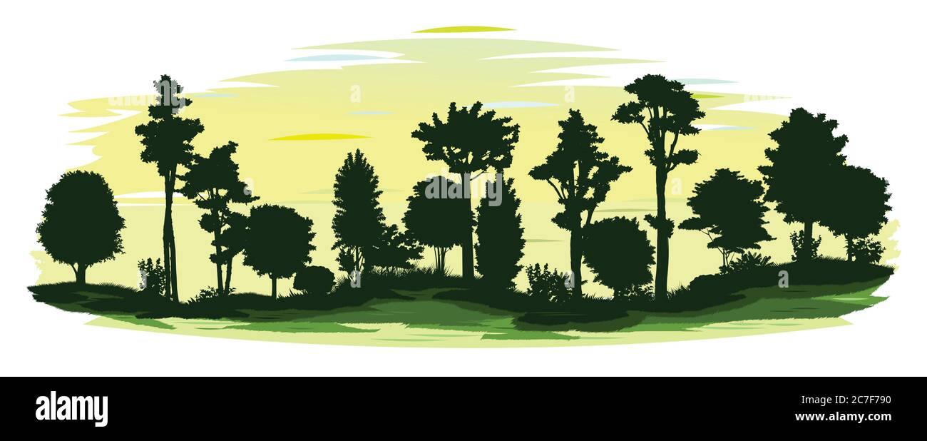 Silhouette della foresta mattutina. Paesaggio vettoriale isolato. Il sole non è ancora risorto. Crepuscolo luminoso. Alberi, arbusti, erba. Le colline. Illustrazione Vettoriale