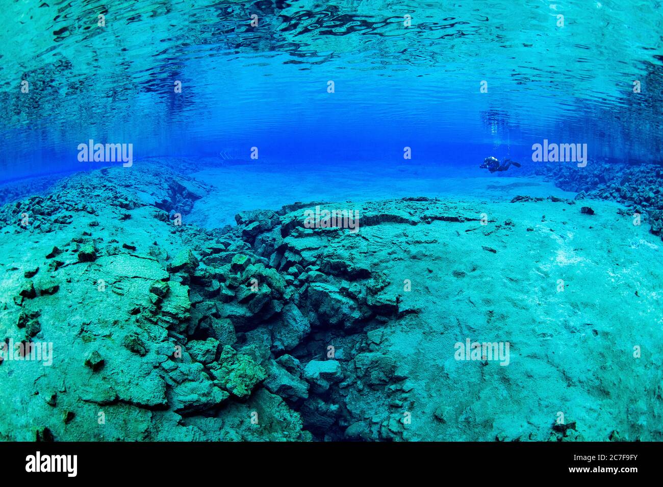 Tuffatori nella Laguna di Silfra, il Parco Nazionale di Thingvellir, Sudurnes, Islanda Foto Stock