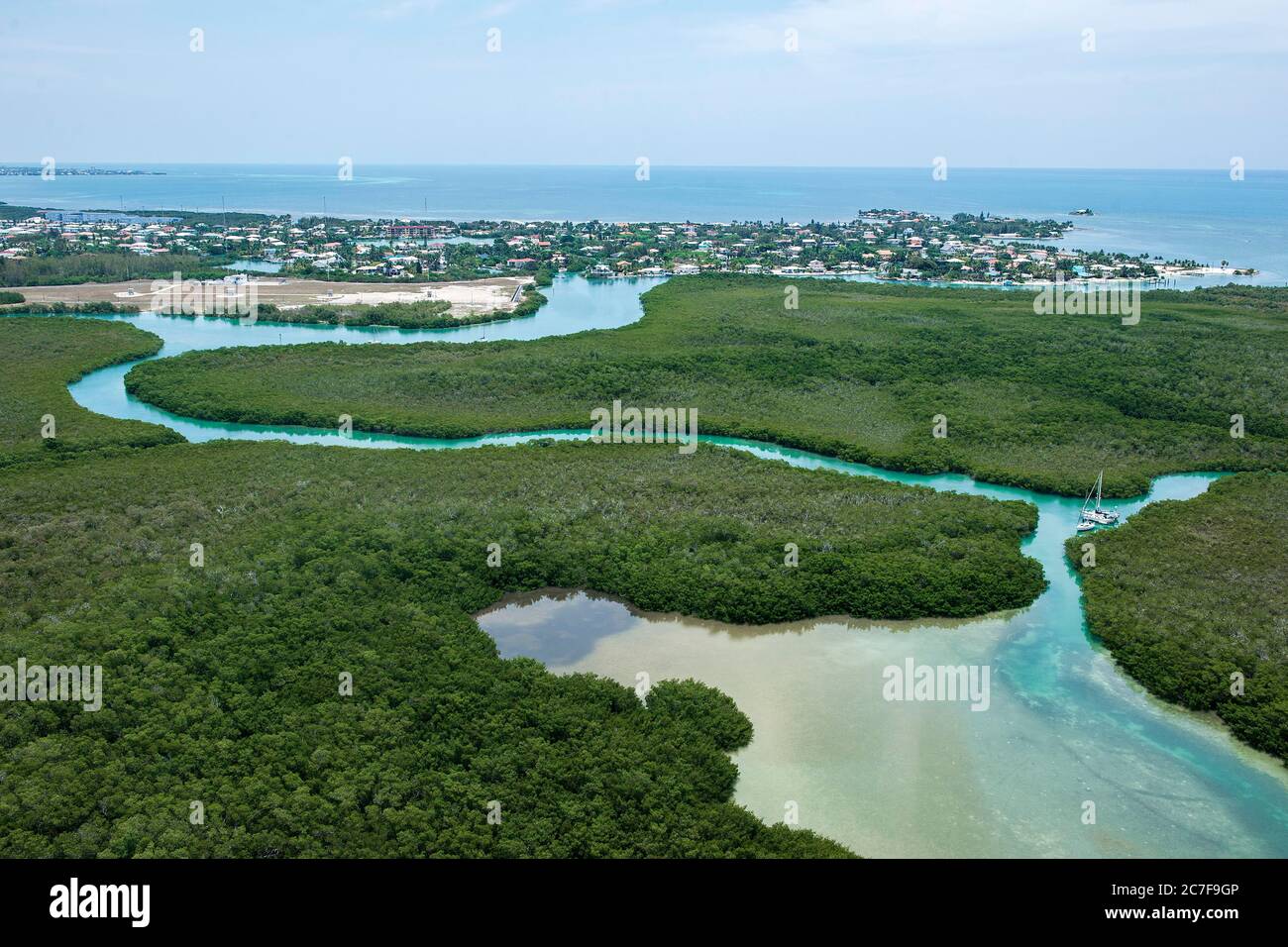 Vista aerea delle mangrovie, Marathon Island, Florida Keys, Florida Foto Stock