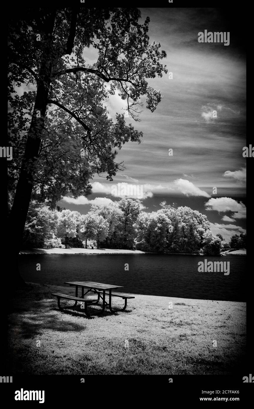 Scenario a infrarossi in scala di grigi di un parco sotto il cielo nuvoloso Foto Stock