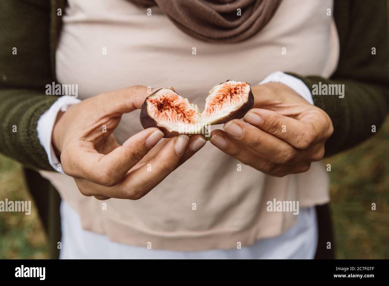 Due metà di un fico rosso e violetto fresco, succoso e dolce, appena prelevato dall'albero, che tiene in mano la donna Foto Stock