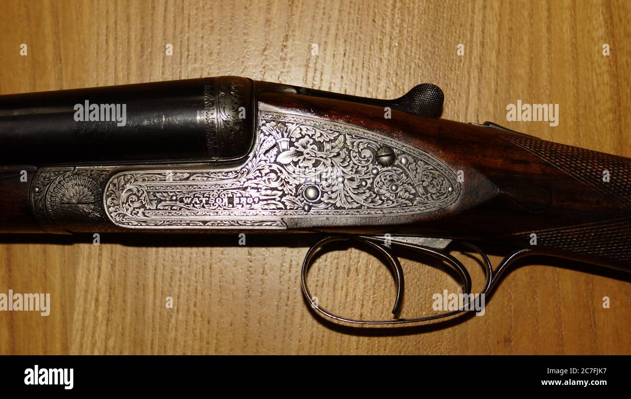 Inglese, Side Lock, estrattore, 12 ga, 12 bore, fucile da caccia, Watson Bros, 1904, qualità, pistola sportiva, pistola da gioco, sport sul campo, Foto Stock