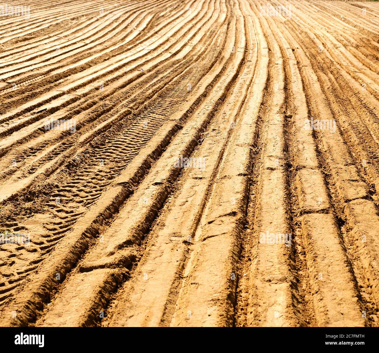 La superficie sabbiosa del cantiere è livellata con bulldozer, raschiatori e altre attrezzature per il movimento terra Foto Stock