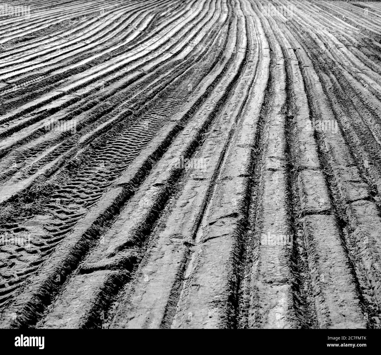 La superficie sabbiosa del cantiere è livellata con bulldozer, raschiatori e altre attrezzature per il movimento terra Foto Stock