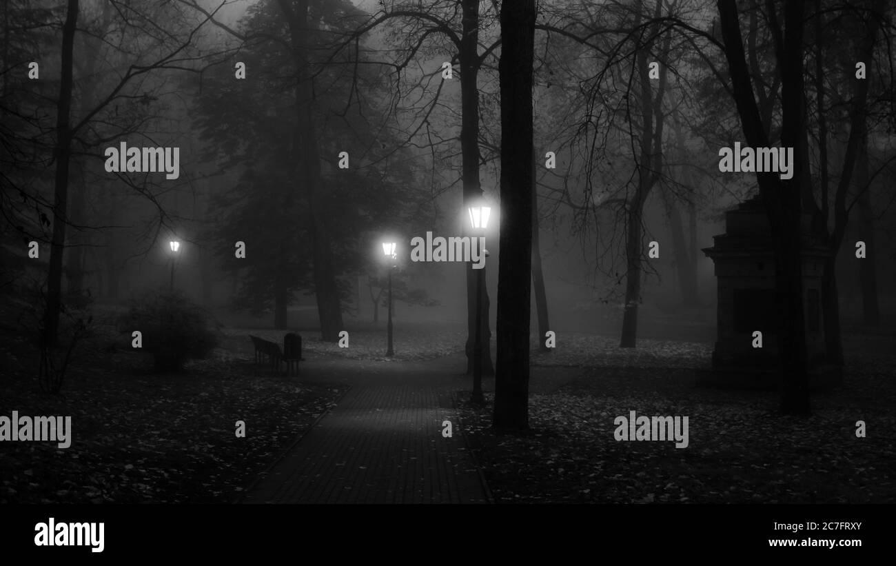 parcheggia in una notte di nebbia Foto Stock