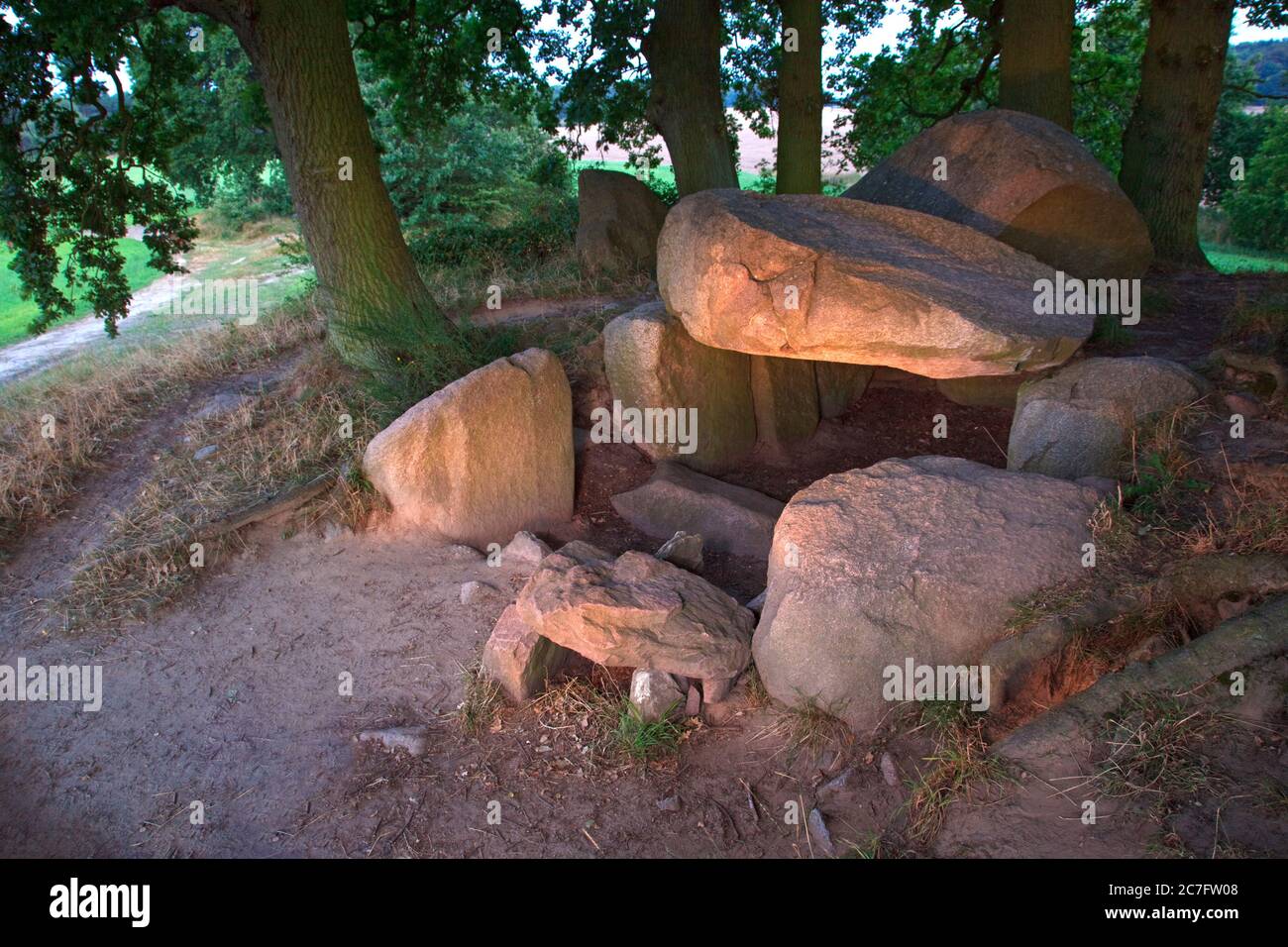 Germania, Meclemburgo-Pomerania occidentale, Mar Baltico, Isola di Ruegen, Lancken-Granitz, Meg. Foto Stock