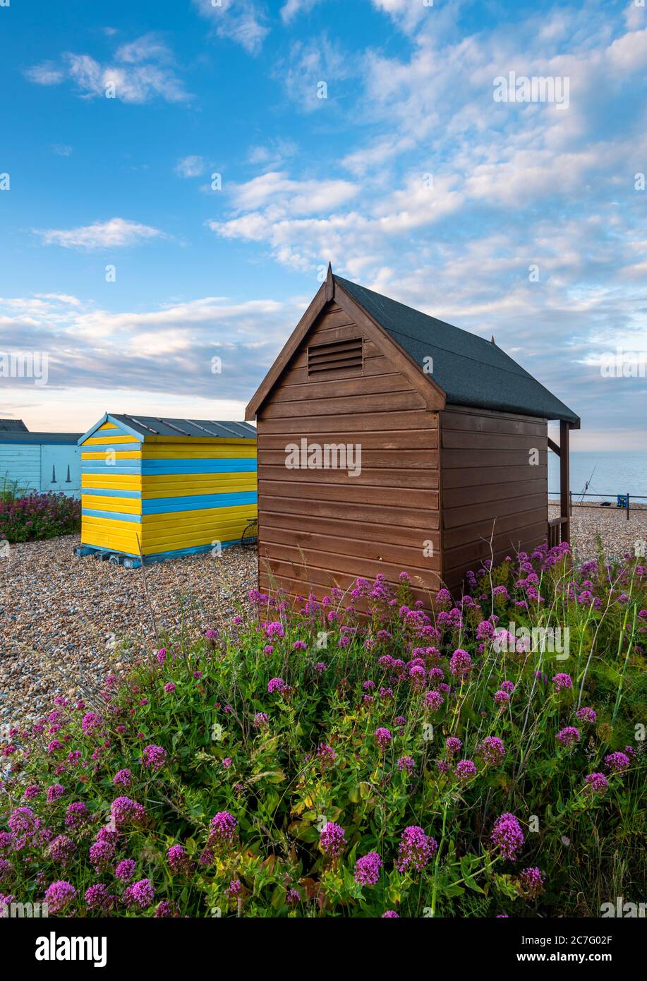 Capanne sulla spiaggia di Kingsdown vicino a Deal con fiori rossi Valeriani in primo piano. Foto Stock