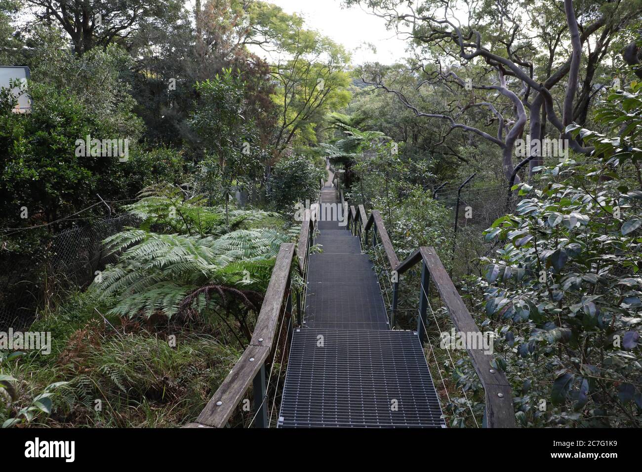 Sentiero a piedi di Headland Park che scende da Middle Head Road a Balmoral Park/Balmoral Oval, Mosman, Sydney, NSW, Australia. Foto Stock