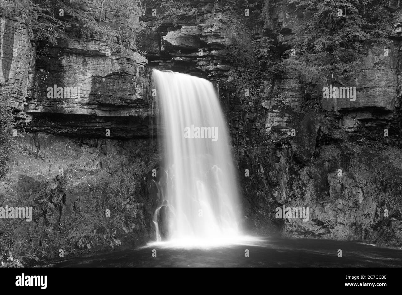 La potente e potente cascata di Thornton Force. Uno dei tanti da vedere lungo il percorso delle cascate Ingleton nel Parco Nazionale delle Valli dello Yorkshire Foto Stock