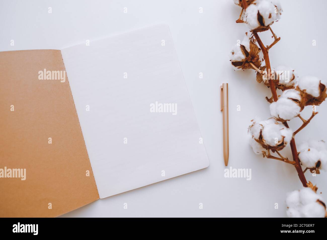 Notebook con carta bianca bianca bianca su sfondo bianco, con ramo in cotone Foto Stock