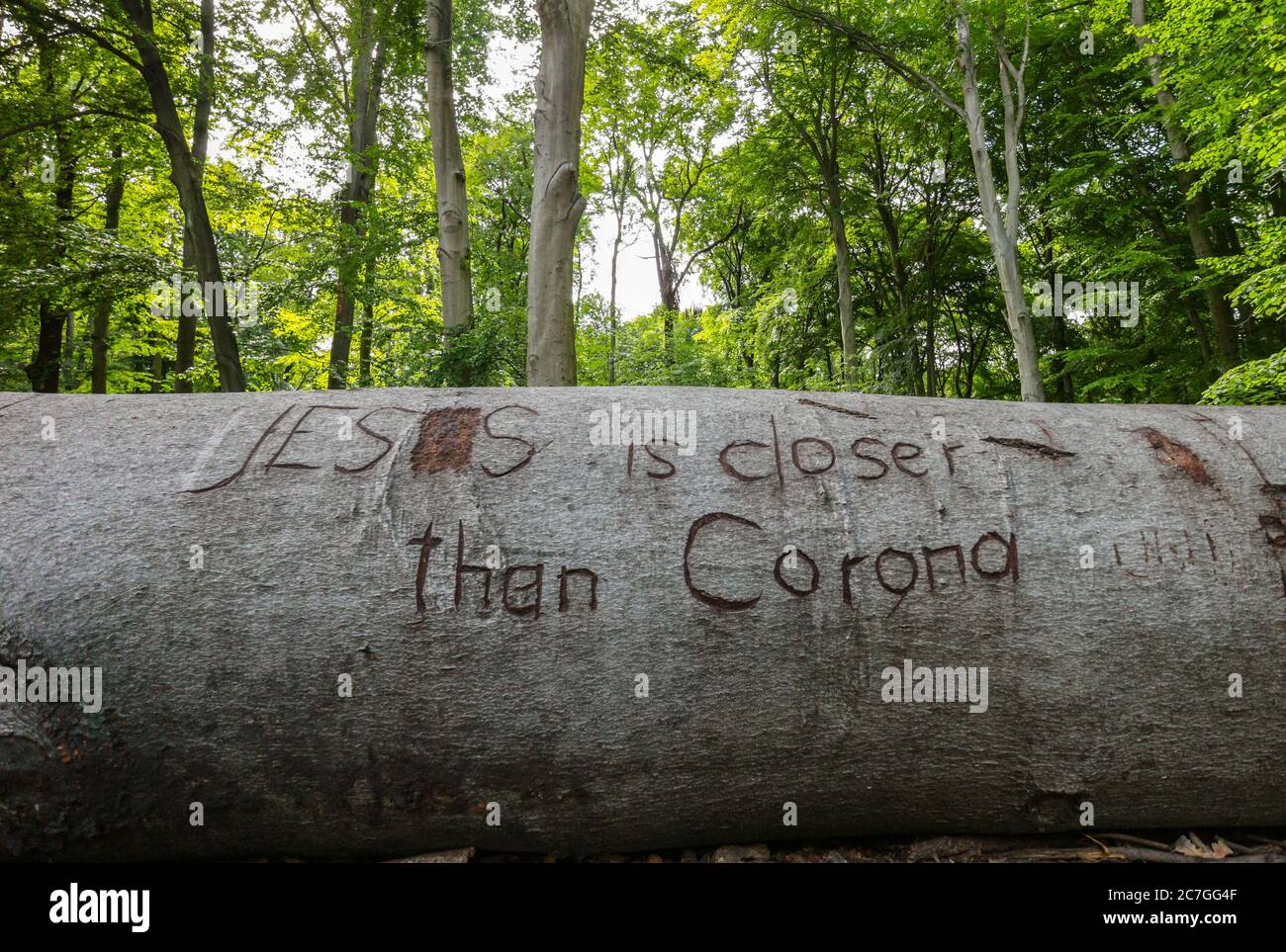 "Gesù è più vicino di Corona" scolpito in un tronco d'albero, visto alla foresta di Plänterwald, Berlino, Germania durante la crisi del Coronavirus. Foto Stock