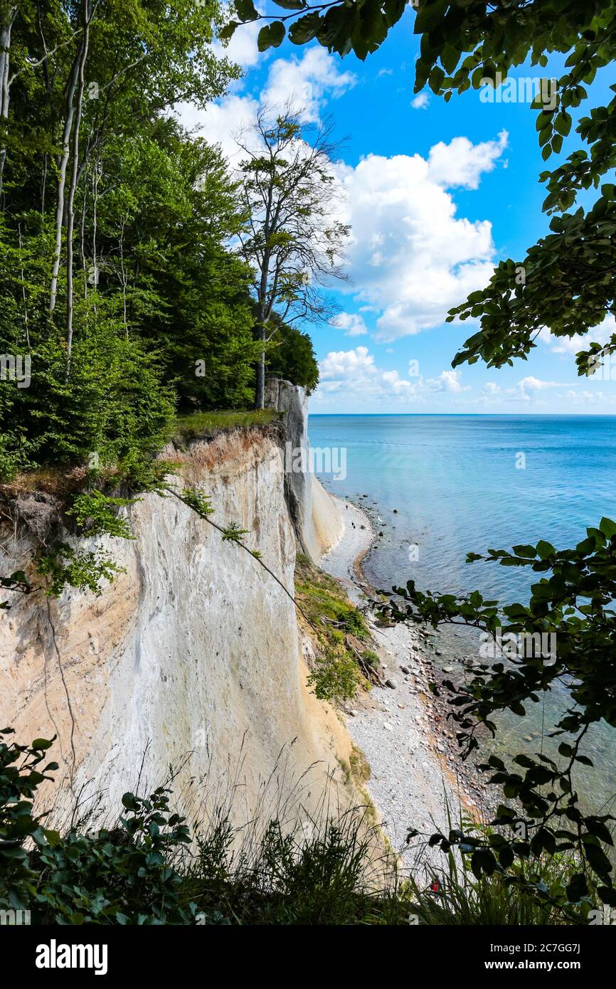 Vista panoramica delle scogliere di Rügen e della costa baltica (teilküste), vista dal sentiero escursionistico Hochuferweg, dal Parco Nazionale di Jasmund, Rügen, Germania. Foto Stock