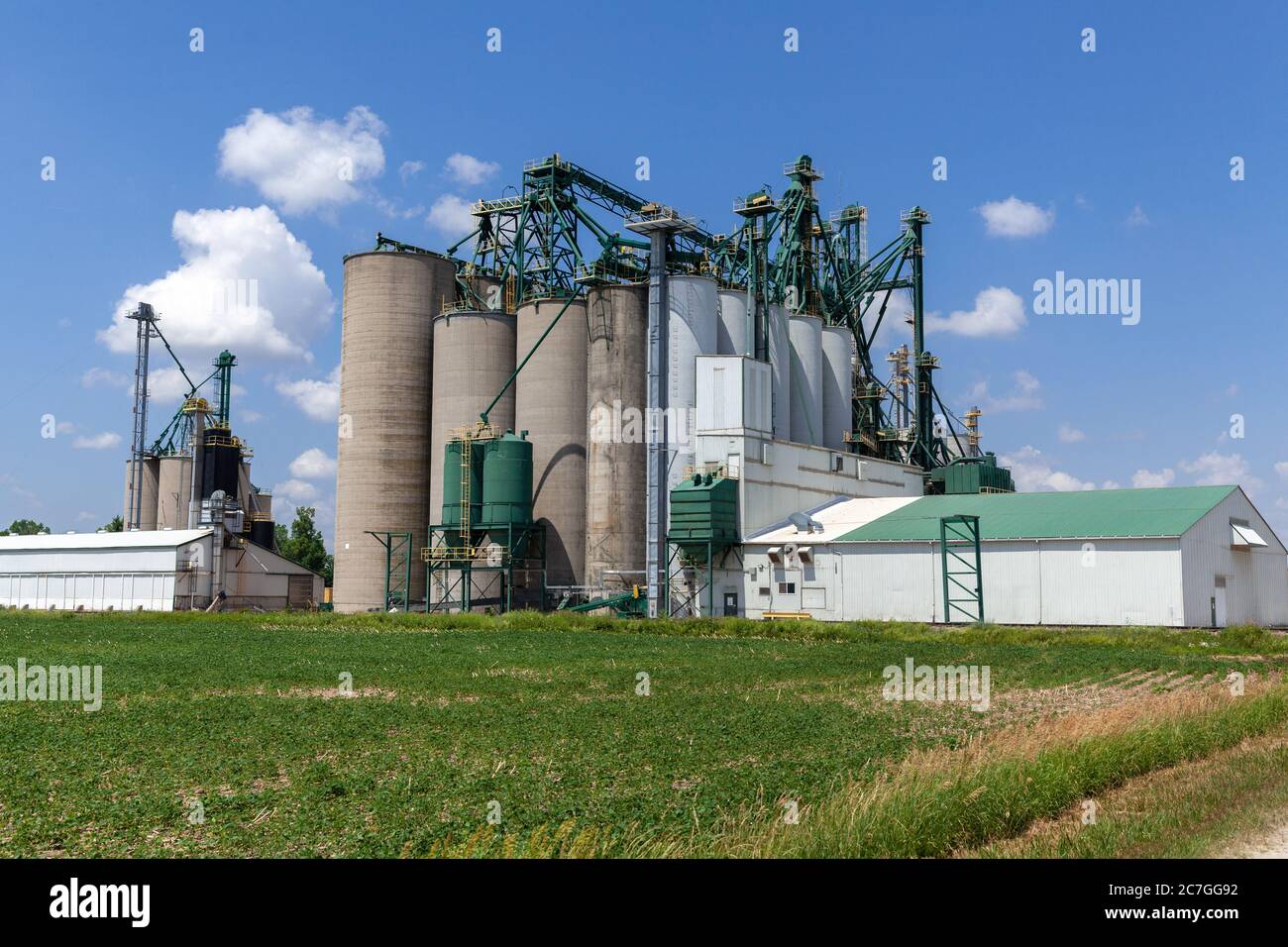 Elevatore di grano di Thompsons in Mitchell Ontario Canada conservazione e distribuzione dei prodotti agricoli Foto Stock