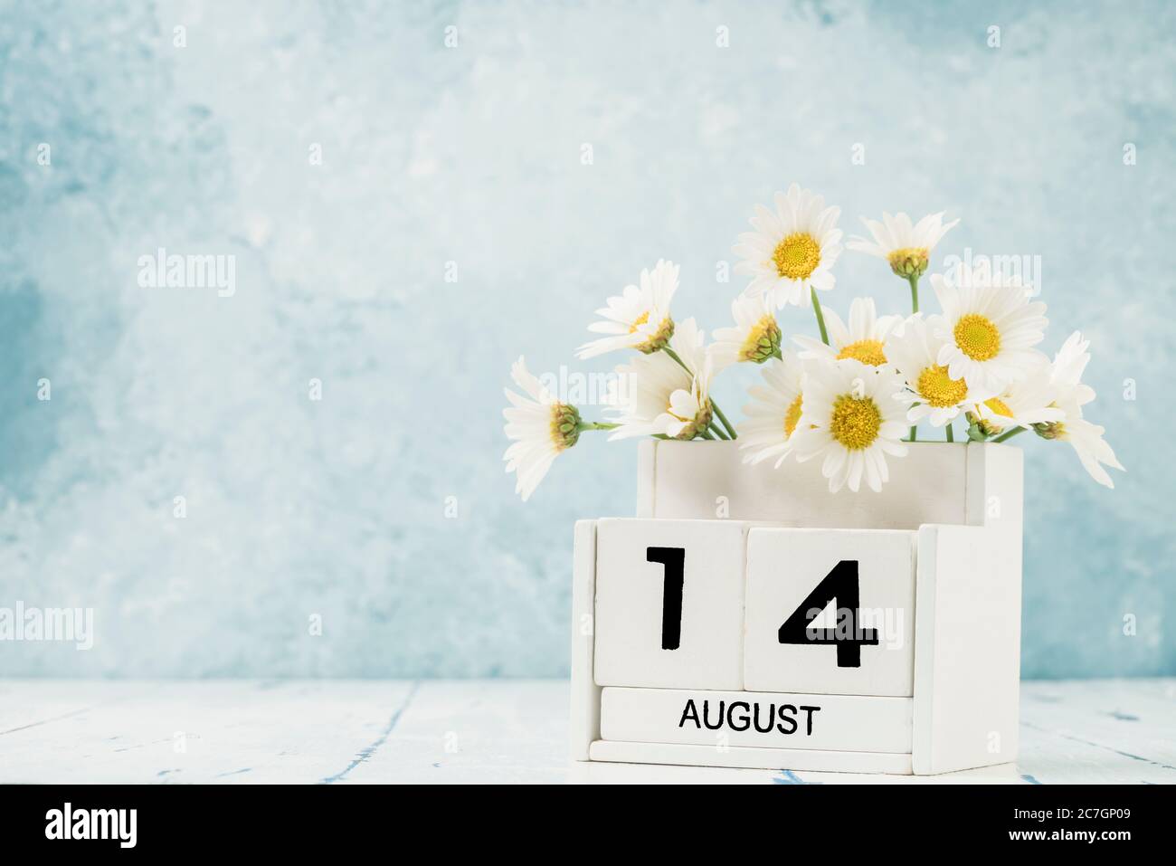 Calendario cubo bianco per agosto decorato con fiori margherita su blu con spazio copia Foto Stock
