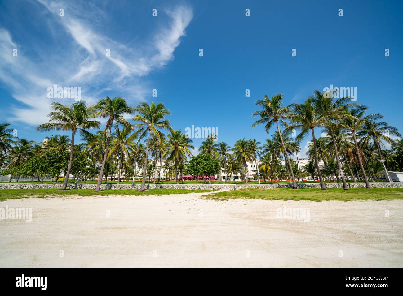 Palm Trees Miami Beach FL USA estate 2020 Foto Stock