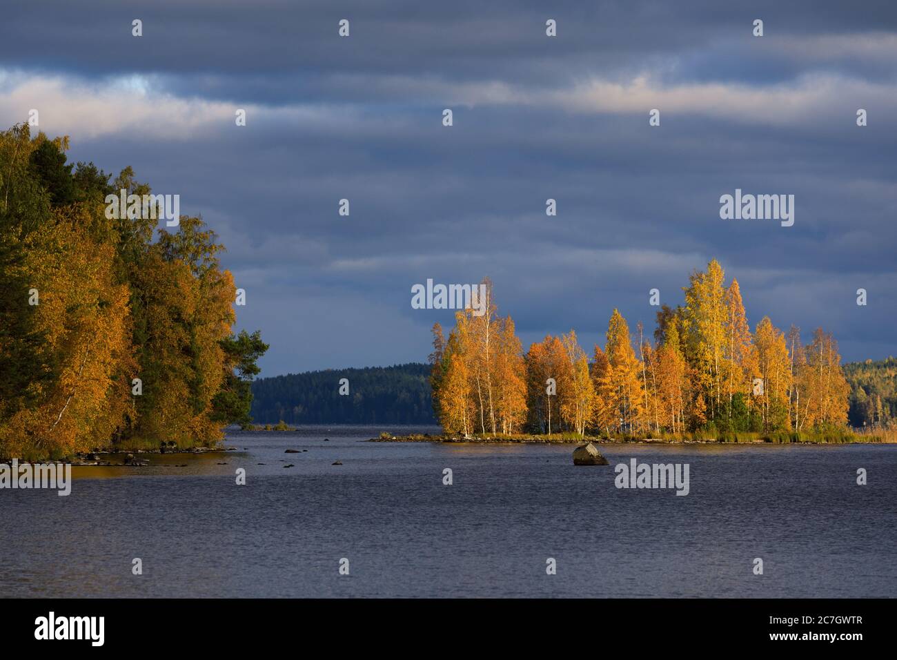 Alberi di colore autunnale e paesaggio lacustre in Finlandia Foto Stock