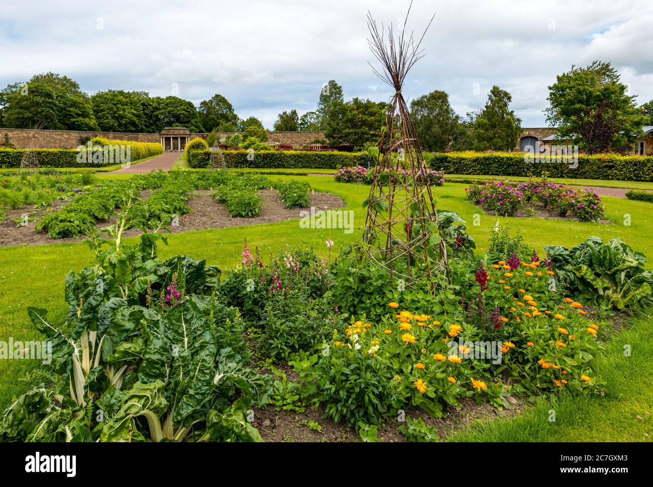 Colorati letti circolari con fiori centrali, giardino murato di Amisfield, Haddington, East Lothian, Scozia, Regno Unito Foto Stock