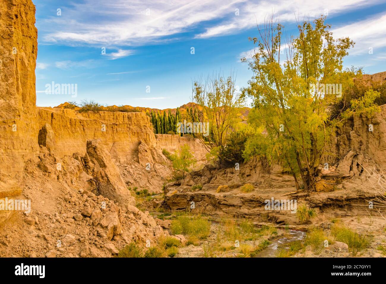 Piccola cascata al parco nazionale di el leoncito, distretto di calingasta, provincia di san juan, argentina Foto Stock