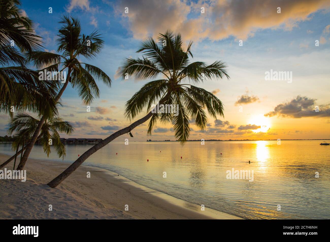 Spiaggia di palme, tramonto, Villingili, Maldive, Oceano Indiano Foto Stock