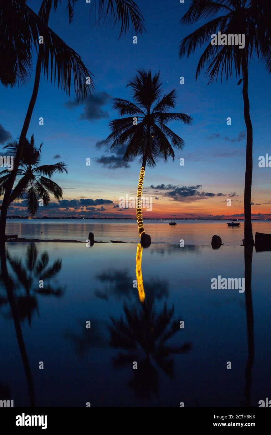 Spiaggia di palme, piscina, tramonto, Shangri-la Villingili Resort & Spa, Villingili, Maldive, Oceano Indiano Foto Stock