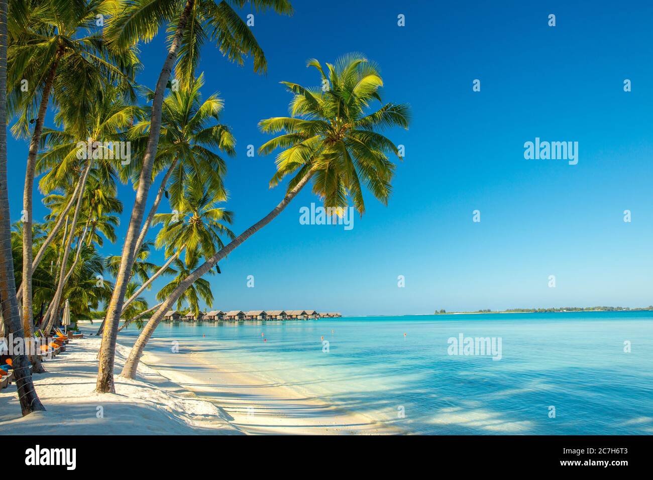 Maldive, Villingili, Atollo Sud Malé, mare, spiaggia di palme, Foto Stock