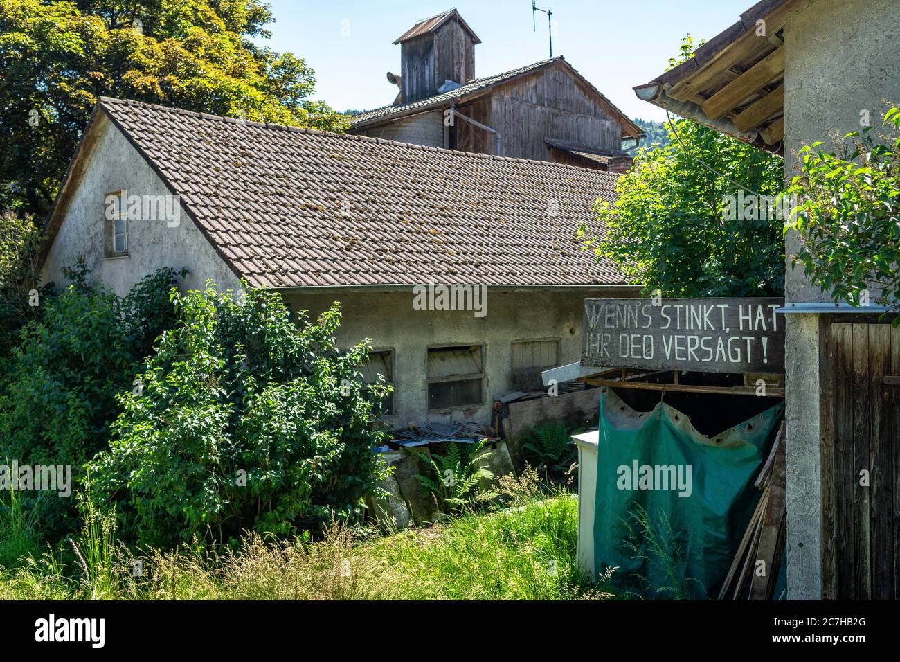 Europa, Germania, Baden-Wuerttemberg, Foresta Nera, Ottenhöfen, piccola fattoria a Mühlenweg vicino Ottenhöfen Foto Stock