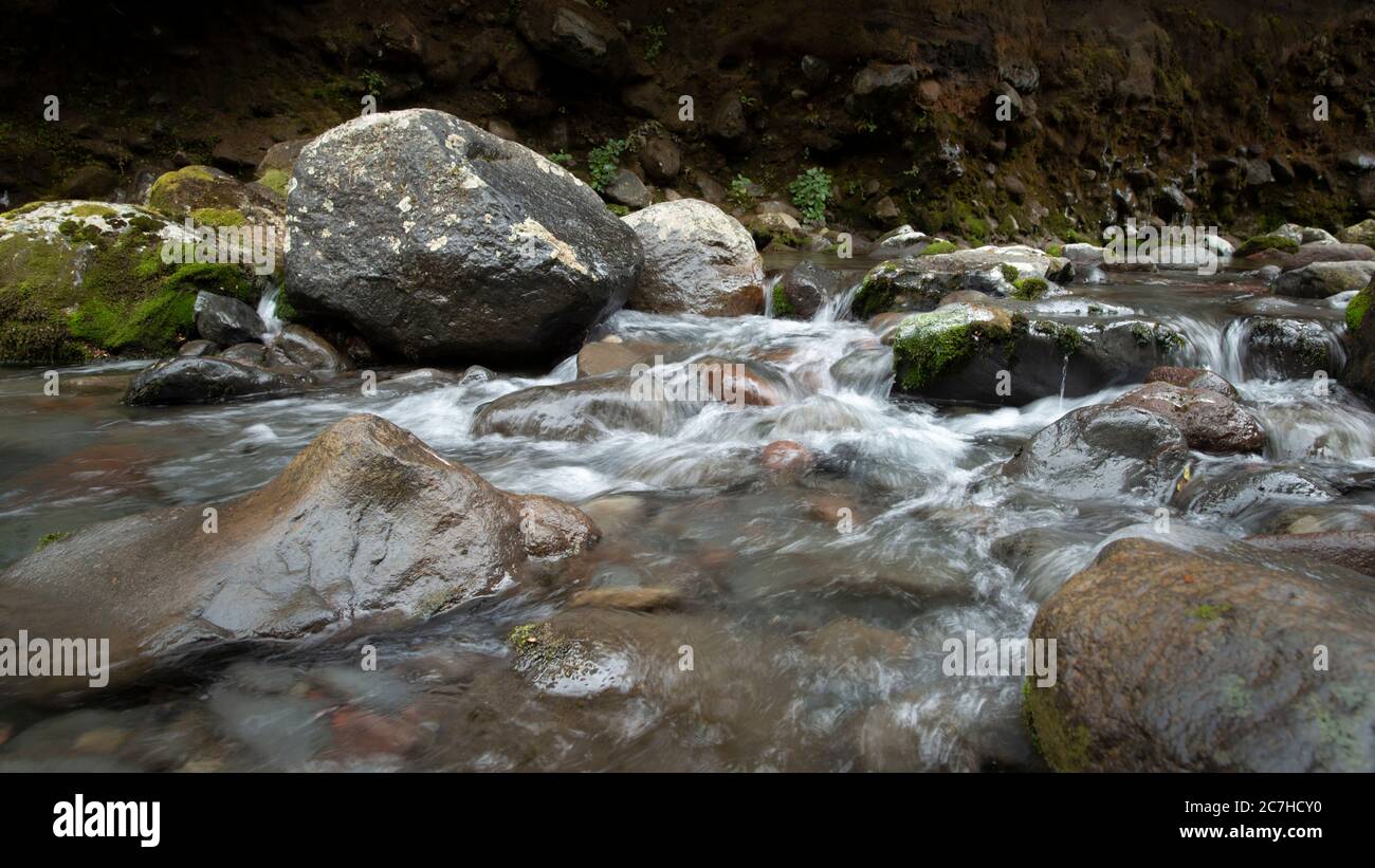 L'acqua scorre lungo il torrente nel circuito delle cascate Taranaki nel Parco Nazionale di Tongariro Foto Stock