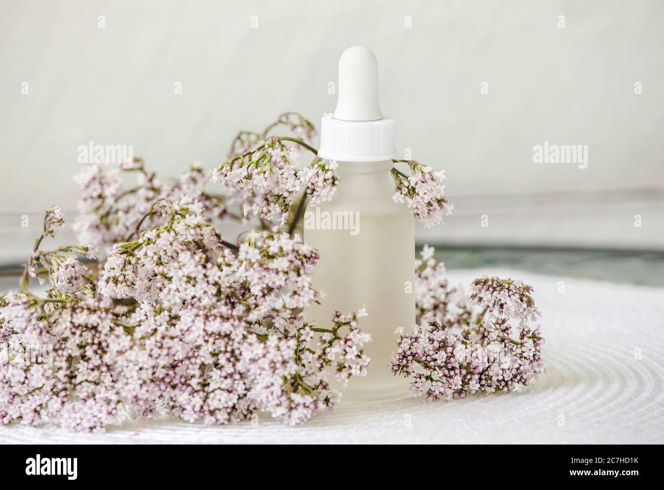 Bottiglia per tintura valeriana o officinalis Valeriana con fioritura rosa di piante valeriane piccole. Medicina organica calmante o concetto di prodotto di bellezza. Foto Stock