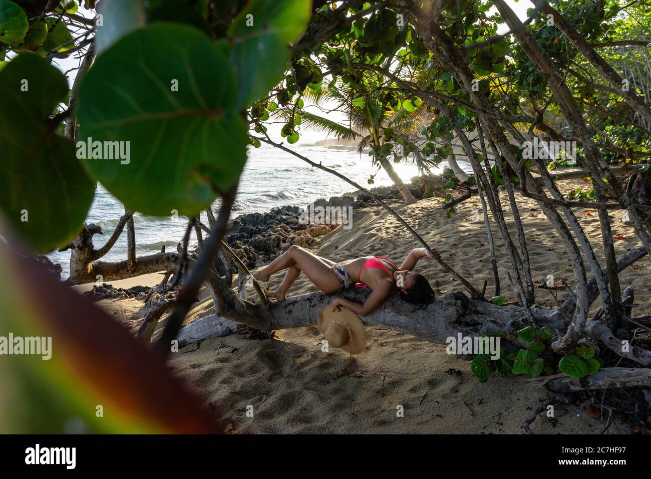 America, Caraibi, Greater Antilles, Repubblica Dominicana, Cabarete, donna sdraiata su un tronco sulla spiaggia del natura Cabana Boutique Hotel & Spa Foto Stock