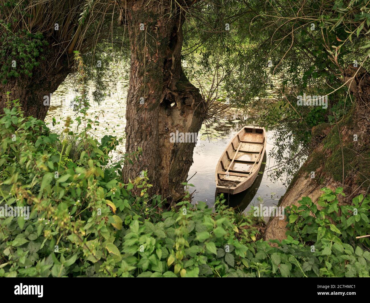 Fiume, pianura alluvionale, salici pollard, salici, lungofiume, gite in stagno, barca, chiatta, ruscello Foto Stock