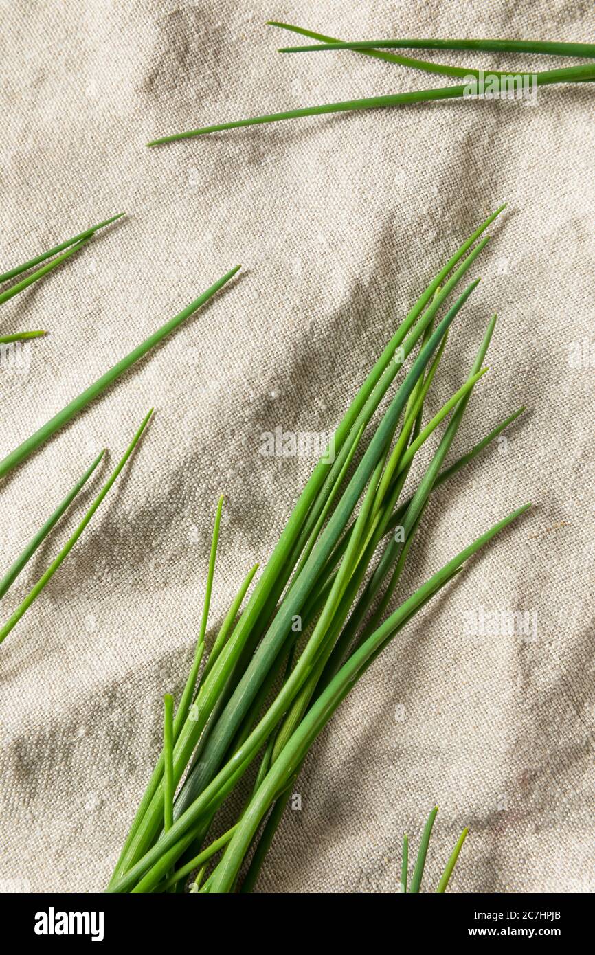 Erba verde erba cipollina fresca biologica pronta per cucinare con Foto Stock