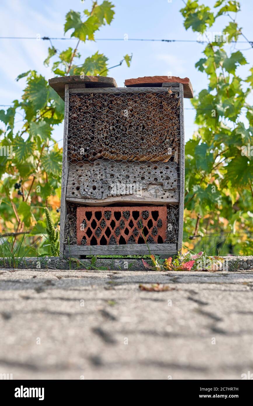 Hotel Insect di fronte alle viti Foto Stock