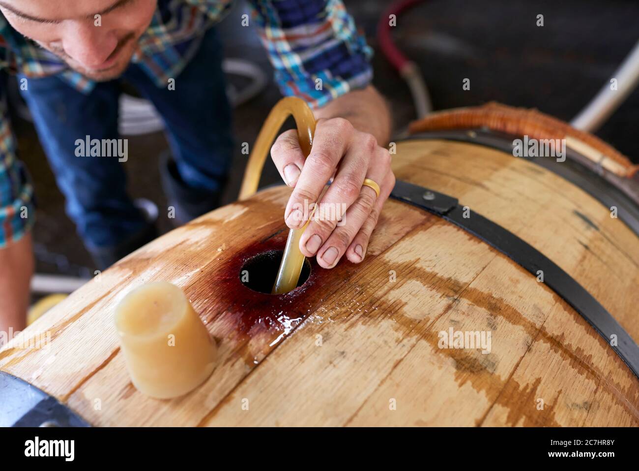 Il maestro di cantina tiene il tubo del vino nel bunghole di un barile Foto Stock