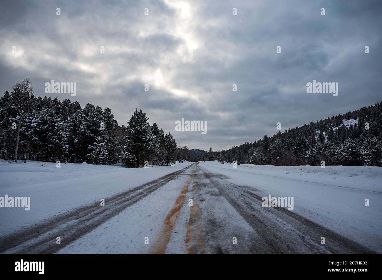 Strada congelata circondata dalla Wasatch National Forest piena di Neve soffice in Utah Foto Stock