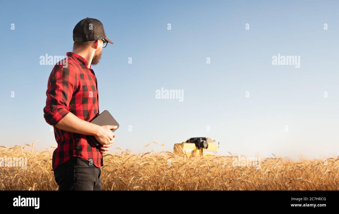 Millennial uomo con tavoletta guarda un raccoglitore in un campo di grano o segale. Agricoltore moderno, gestione di affari agricoli, proprietario di affari locali Foto Stock