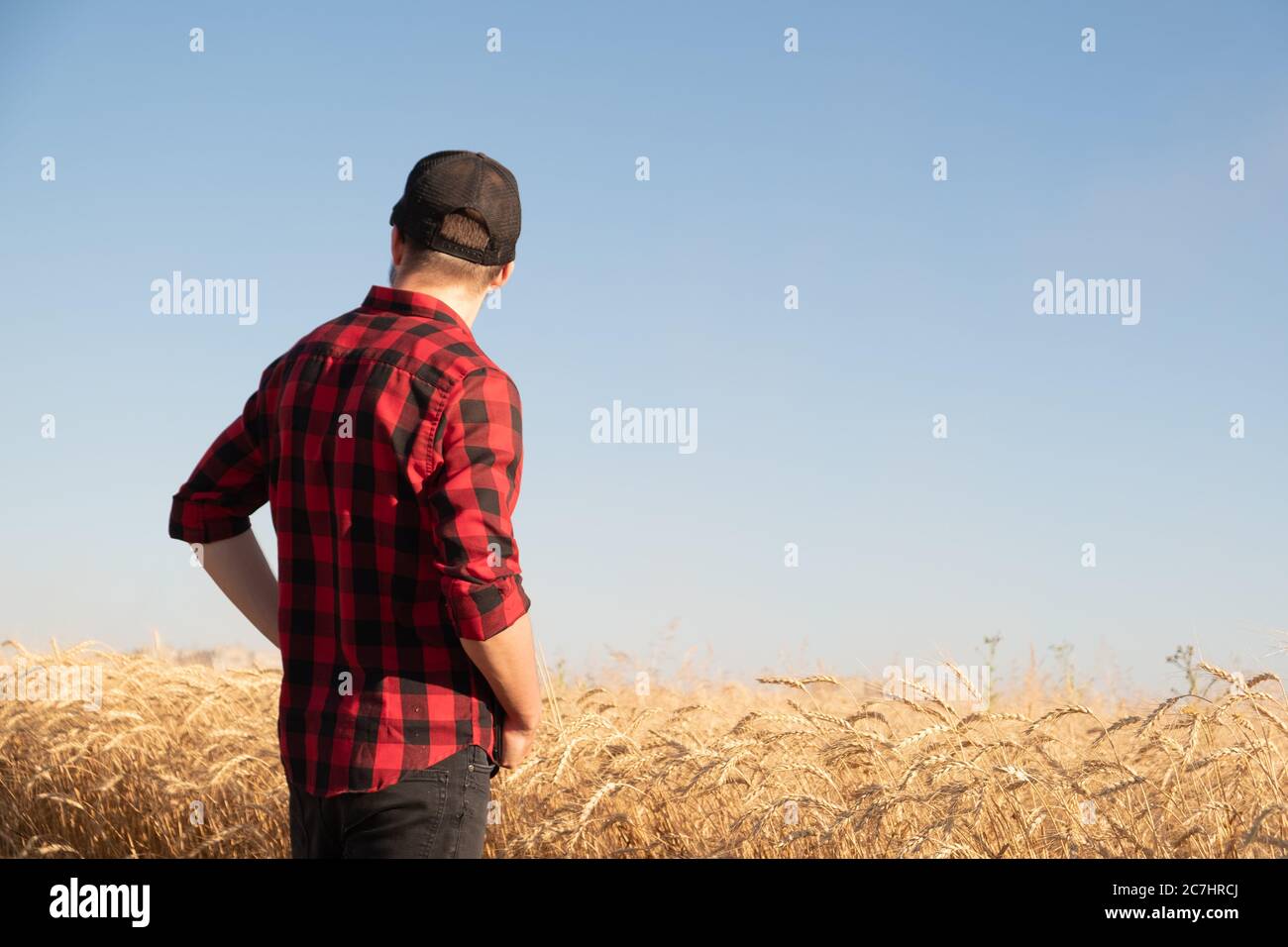 Millennial uomo guarda via in un campo di grano o segale. Agricoltore moderno, gestione di affari agricoli, concetto di proprietario di affari locali Foto Stock
