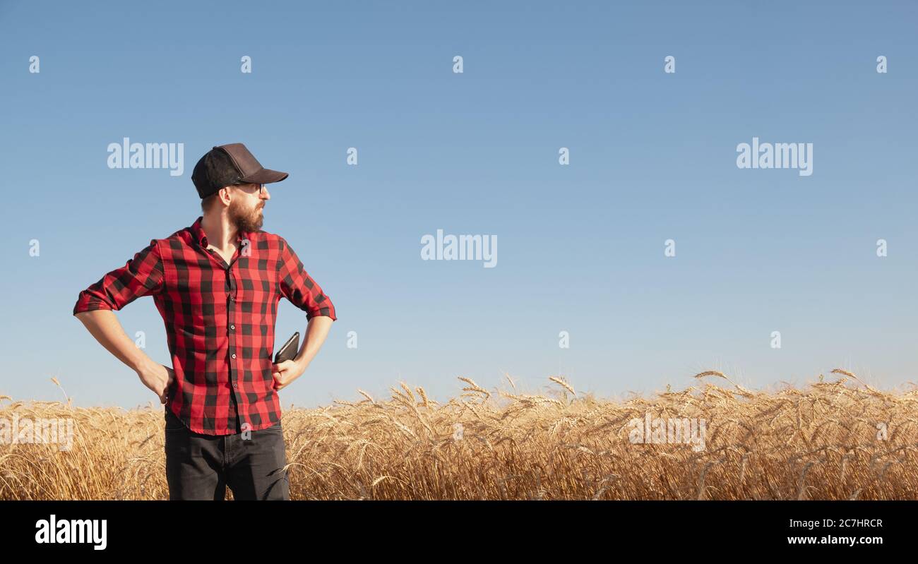 Millenario maschio in campo cerealicolo. Agricoltore moderno, gestione di affari agricoli, concetto di proprietario di affari locali Foto Stock