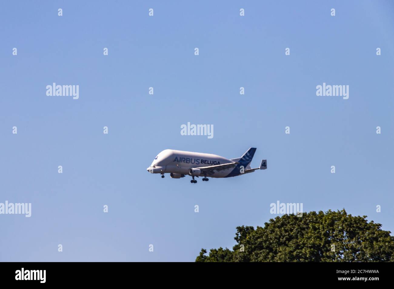 Airbus Beluga - l'aereo di trasporto e logistica sull'Elba ad Amburgo. Foto Stock