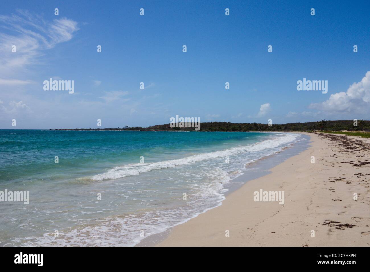 Un'ampia foto di una spiaggia a Vieques, che si affaccia sul Mar dei Caraibi, sabbia bianca e palme in lontananza Foto Stock