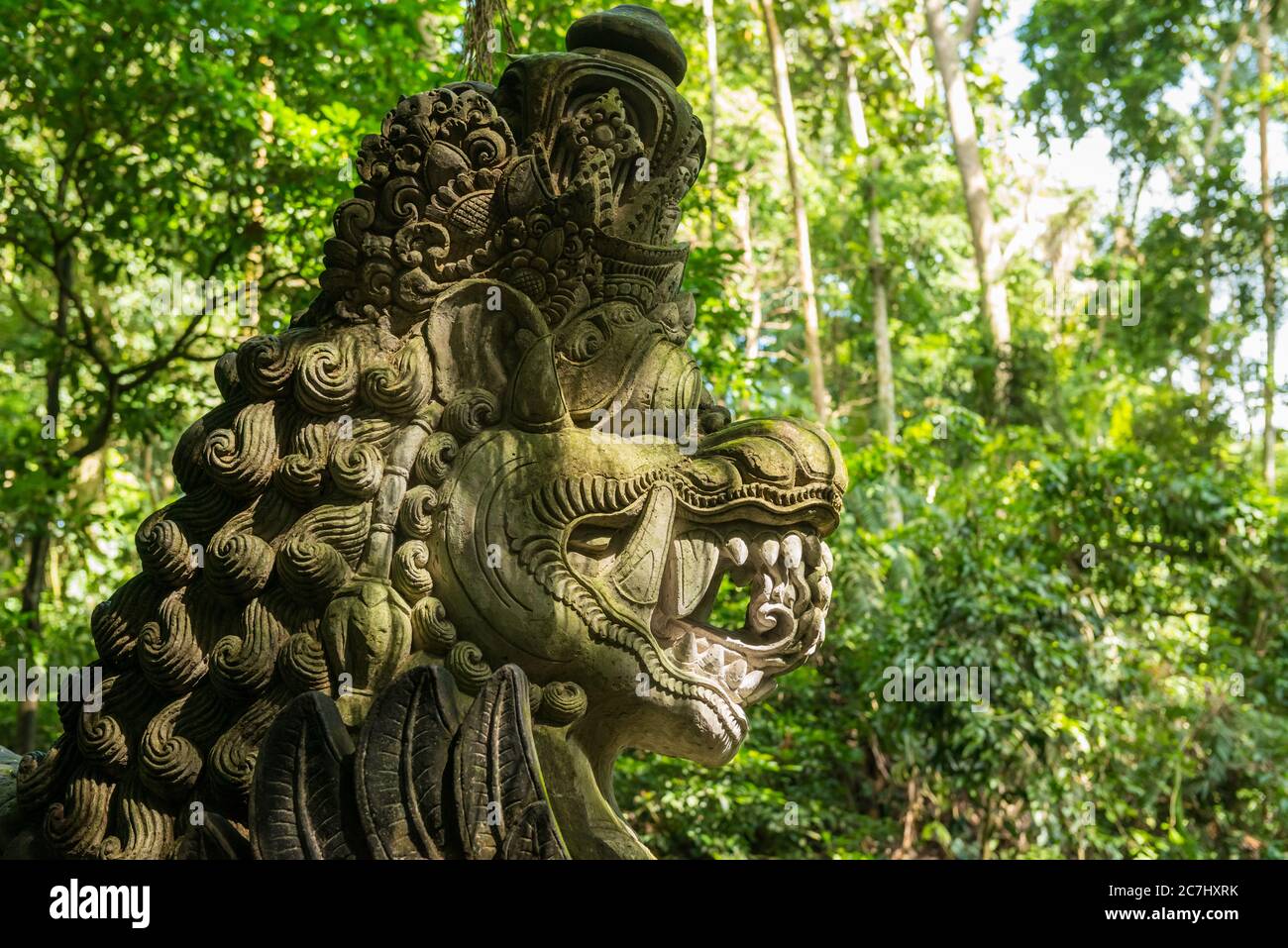 Vista della Foresta delle scimmie sacre a Ubud Foto Stock