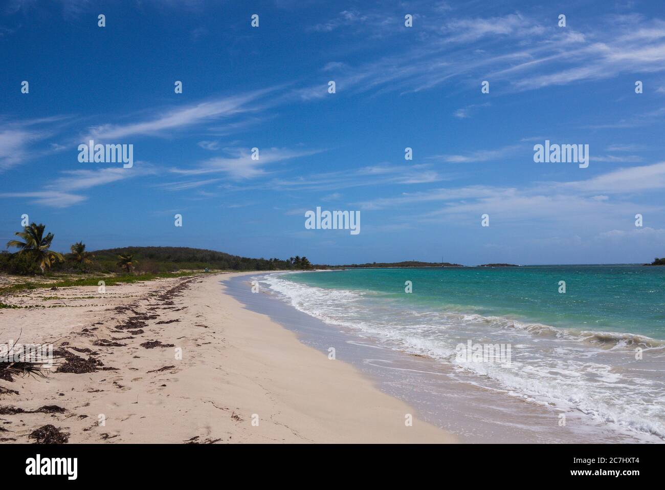 Un'ampia foto di una spiaggia a Vieques, che si affaccia sul Mar dei Caraibi, sabbia bianca e palme in lontananza Foto Stock