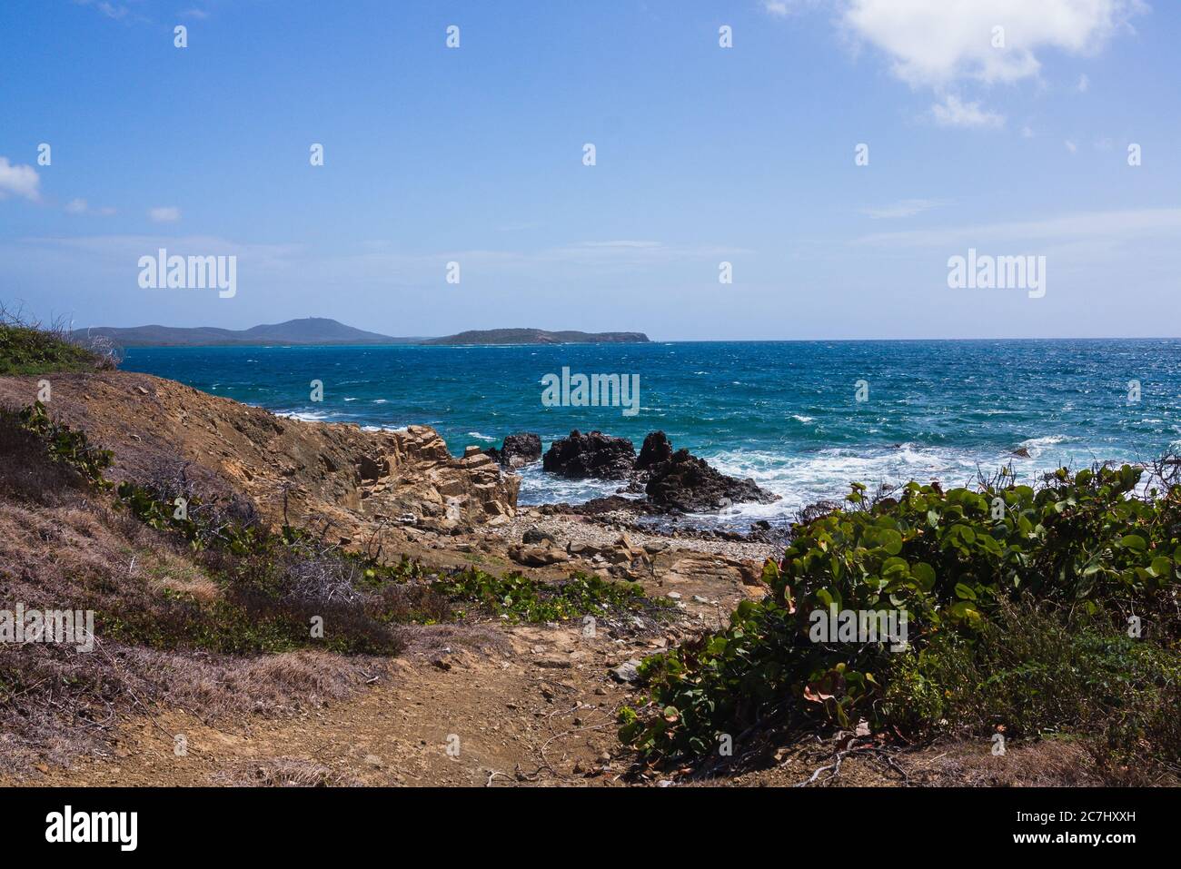 Vista del Mar dei Caraibi da un remoto percorso sterrato alla spiaggia di Vieques, Puerto Rico Foto Stock