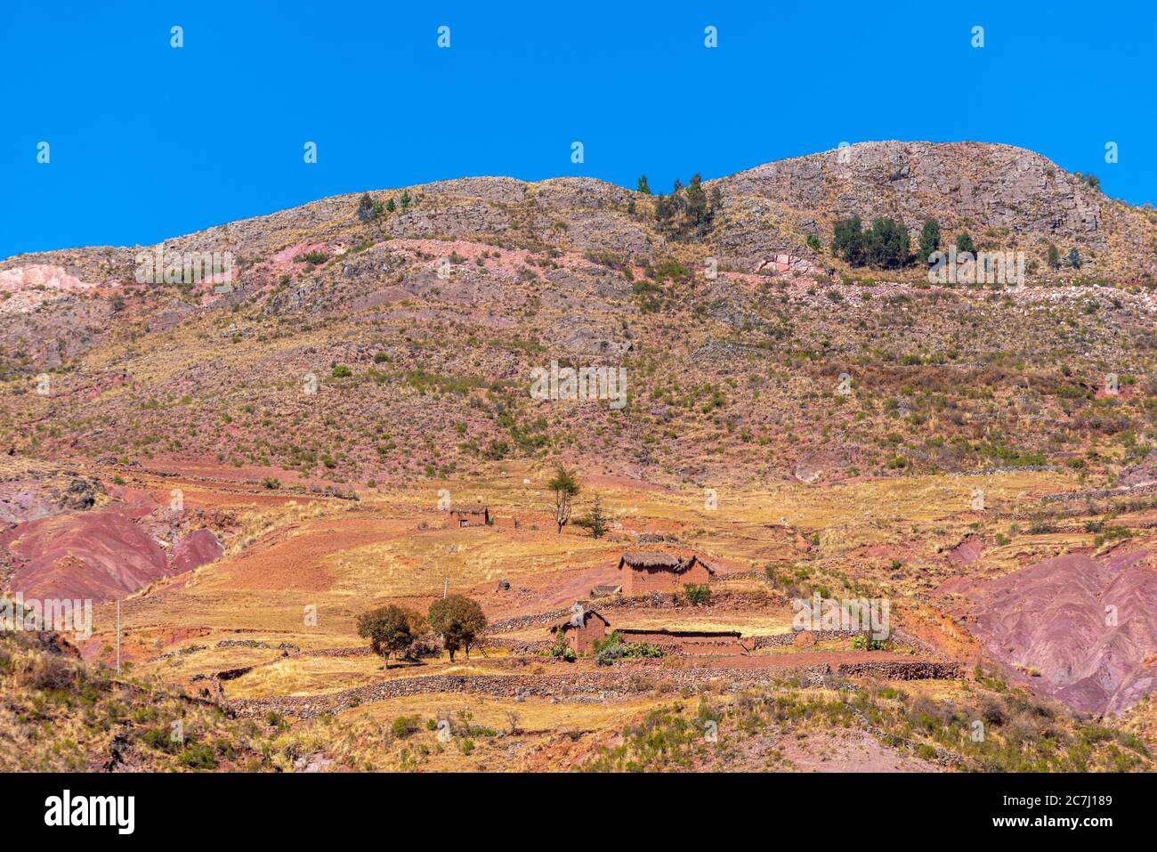 Agricoltura ad alta quota nel Parco Nazionale Tototoro, Parco Nazionale Torotoro, Andes Mountains, departimento Potosí, Bolivia, America Latina Foto Stock