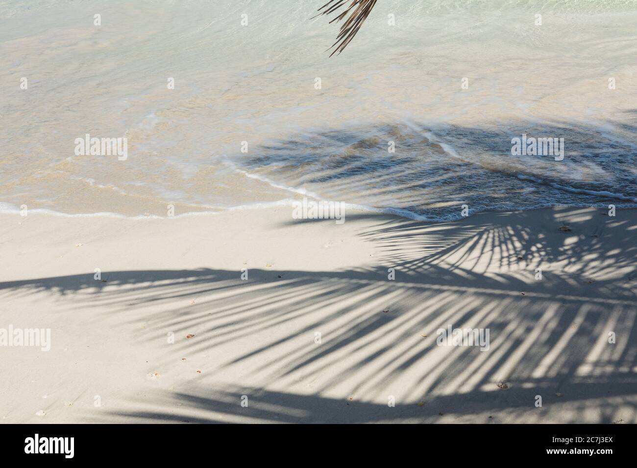 L'ombra delle palme parte da un albero di palma su una spiaggia di sabbia bianca vicino alla marea, a Culebra, Puerto Rico Foto Stock