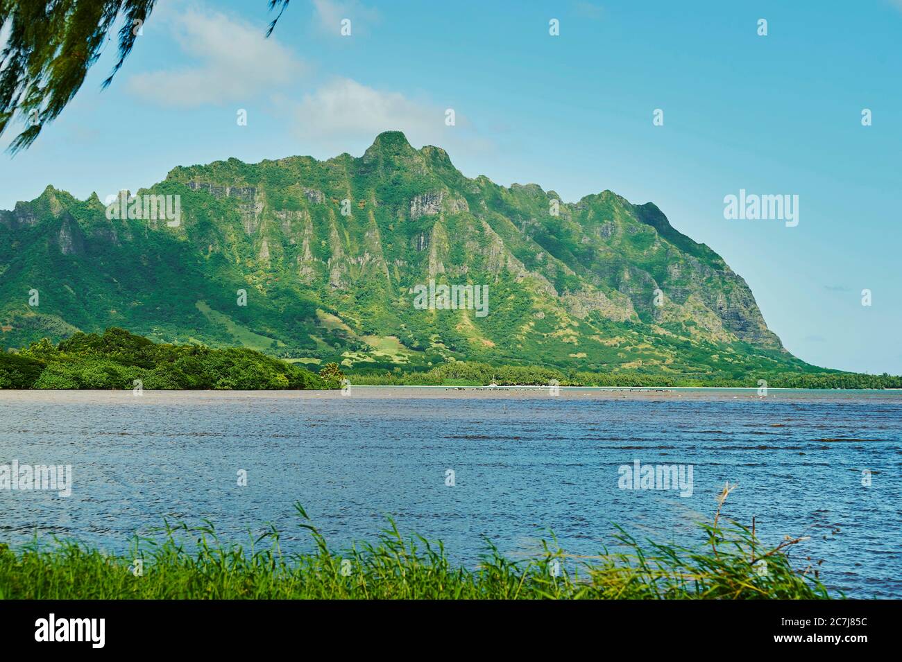 Kualoa Ranch, Stati Uniti, Hawaii, Oahu Foto Stock
