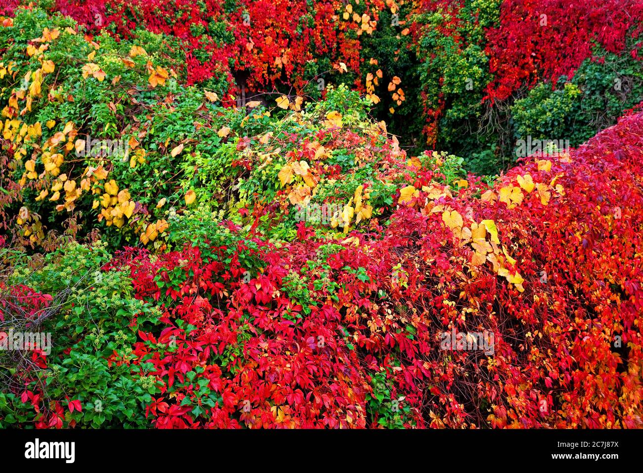 Parco pubblico Landschaftspark Duisburg-Nord in autunno, Germania, Nord Reno-Westfalia, Ruhr Area, Duisburg Foto Stock