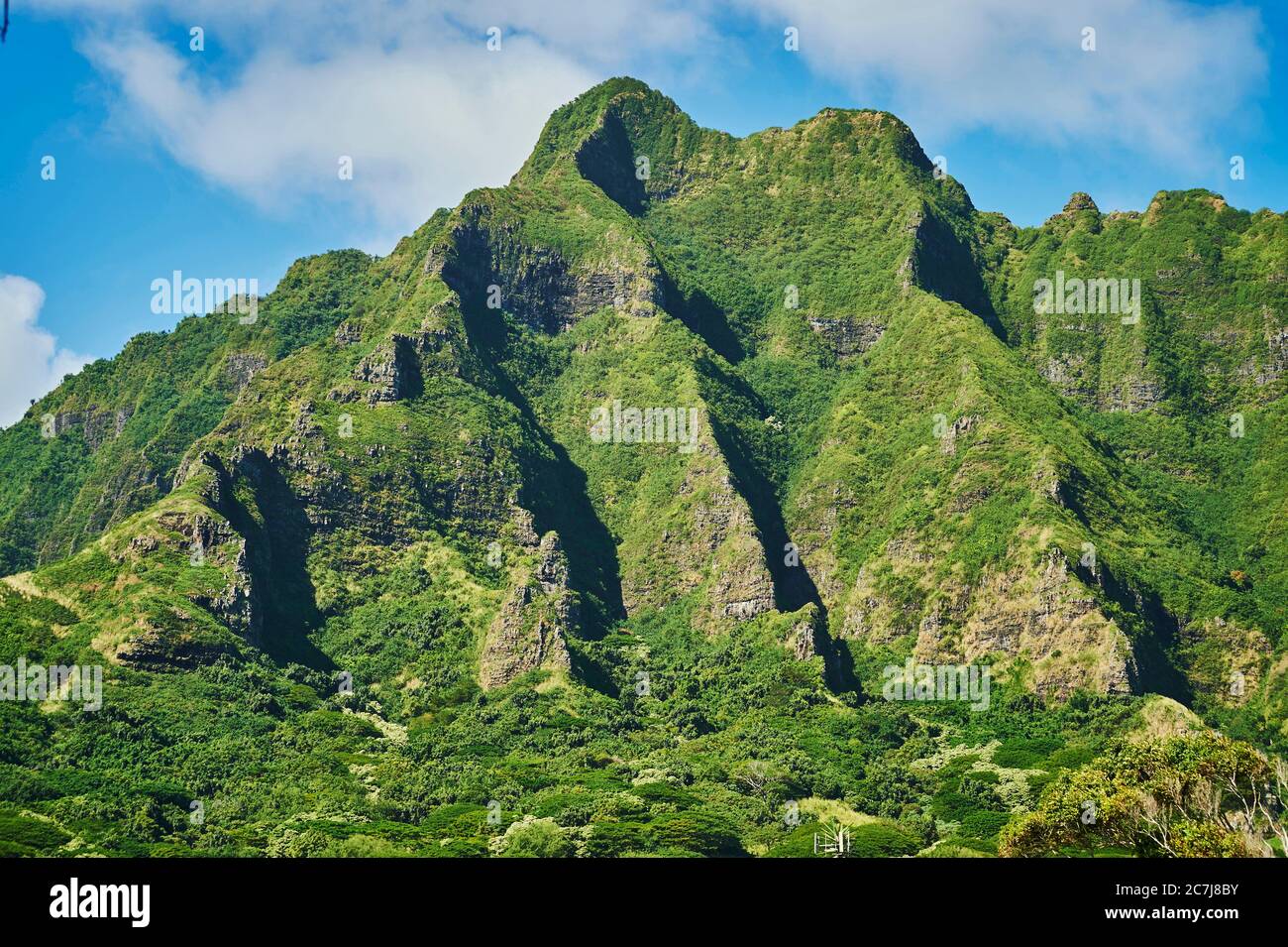 Kualoa Ranch, Stati Uniti, Hawaii, Oahu Foto Stock
